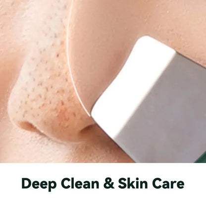 Facial Skin Scrubber Spatula Exfoliator Pore Cleaner