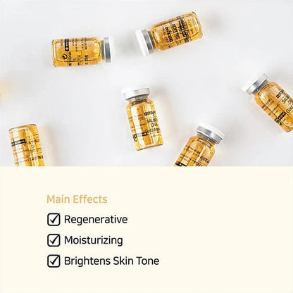 Salmon DNA Gold Ampoule Skin Booster Serum Stayve BB Cream