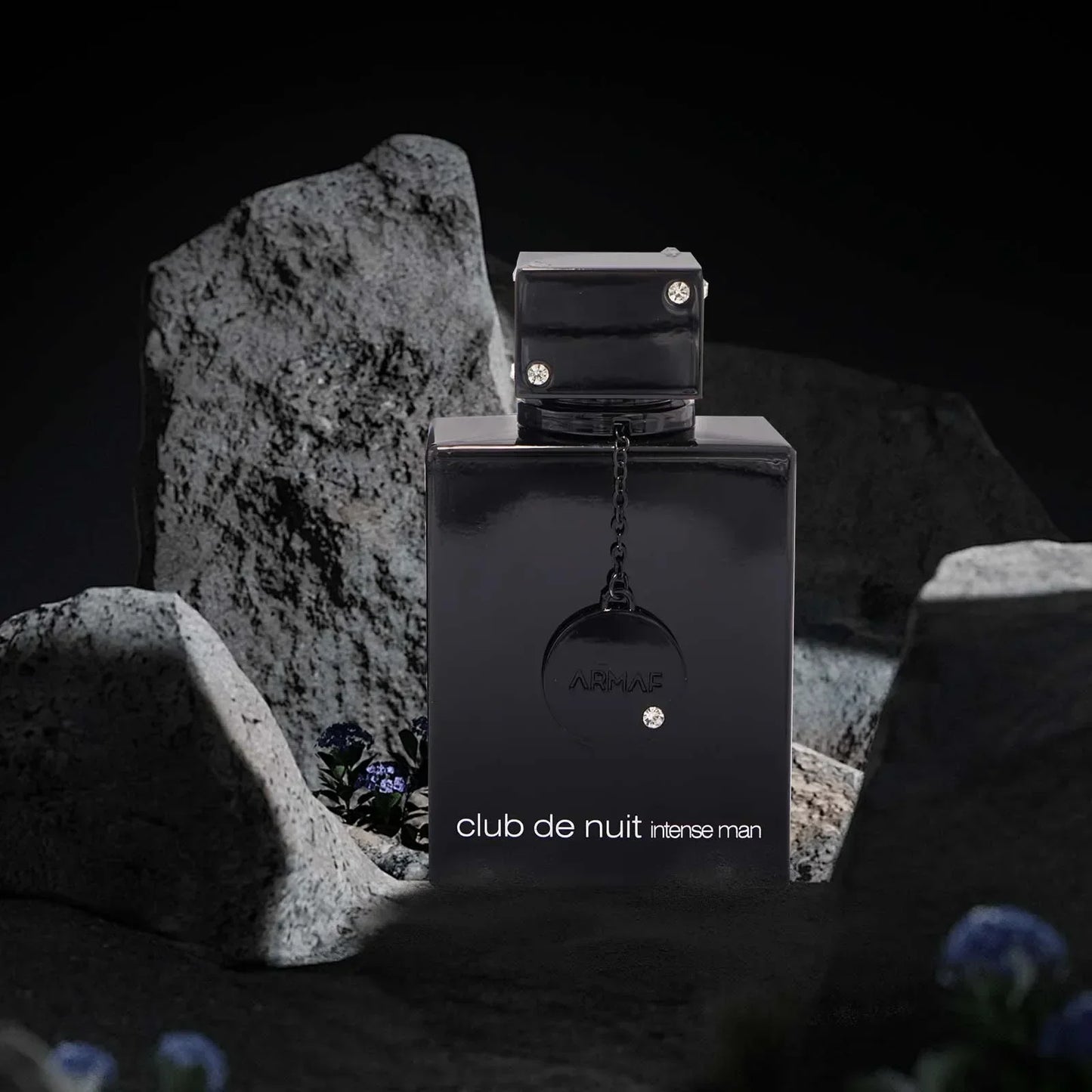 Black Night Club Perfume