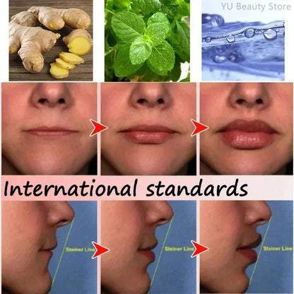 6 Colors Lip Plumping Gloss Instant Lip Plumper Extreme Volume Serum Oil Moisturizing Sexy Plump Lips Korean Makeup Products